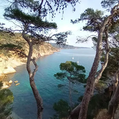 Appartement Thegoldsand Cala Salions Tossa De Mar Gerona